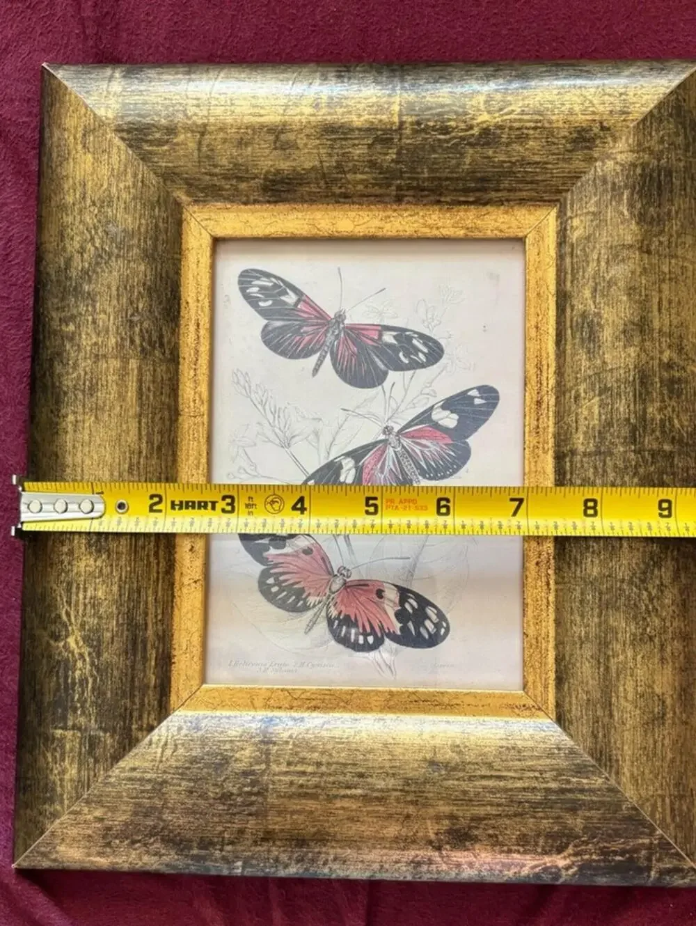 Framed Butterfly Art Print Illustration